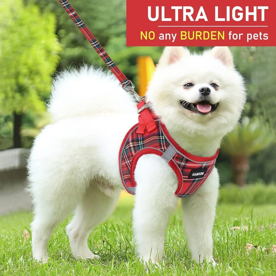 Small Dog Harness, Collar and Leash Set With Reflective Mesh