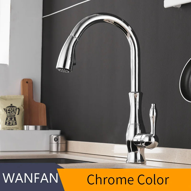 WANFAN Kitchen Faucet Pull Out Single Handle Water Mixer 866011