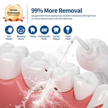 Seago Electric Toothbrush And Water Flosser Rechargeable 8 Bristle Heads