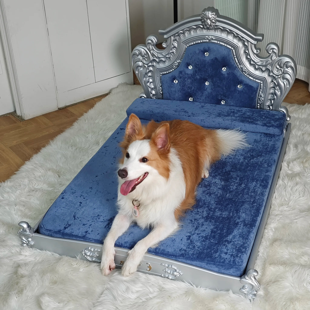BINGOPAWCN Luxury Dog Cat Bed With Washable Dutch Velvet Cover