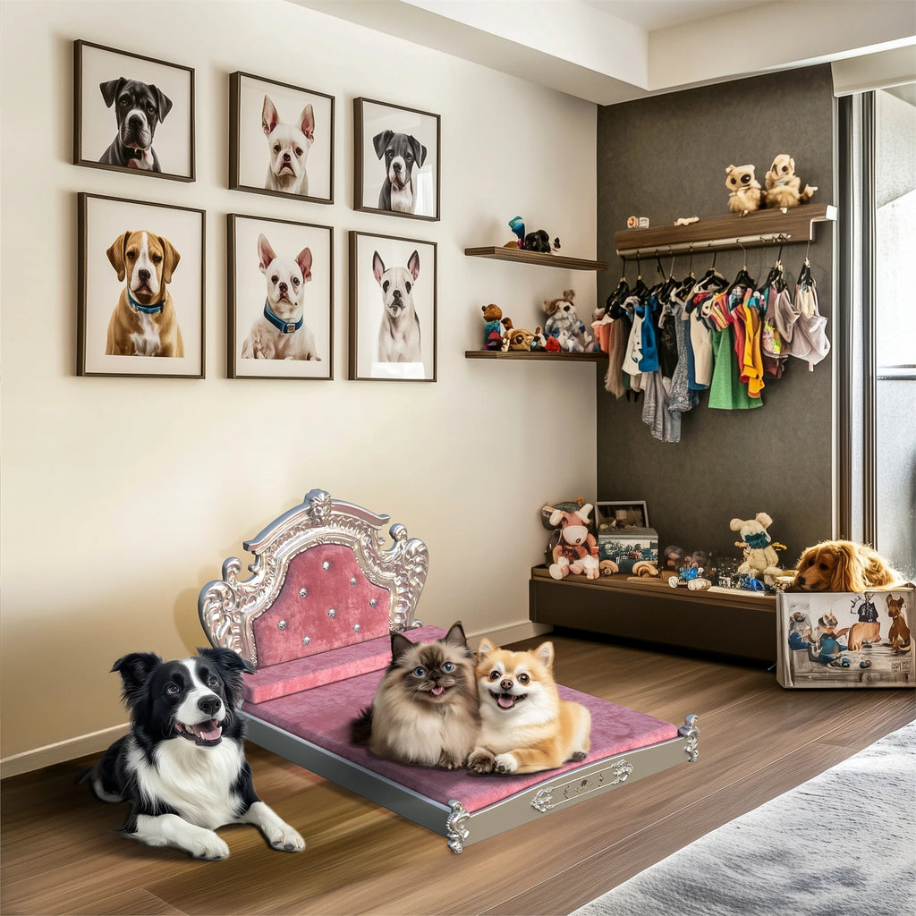 BINGOPAWCN Luxury Dog Cat Bed With Washable Dutch Velvet Cover