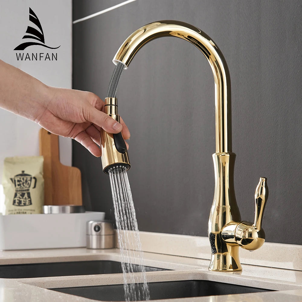 WANFAN Kitchen Faucet Pull Out Single Handle Water Mixer 866011