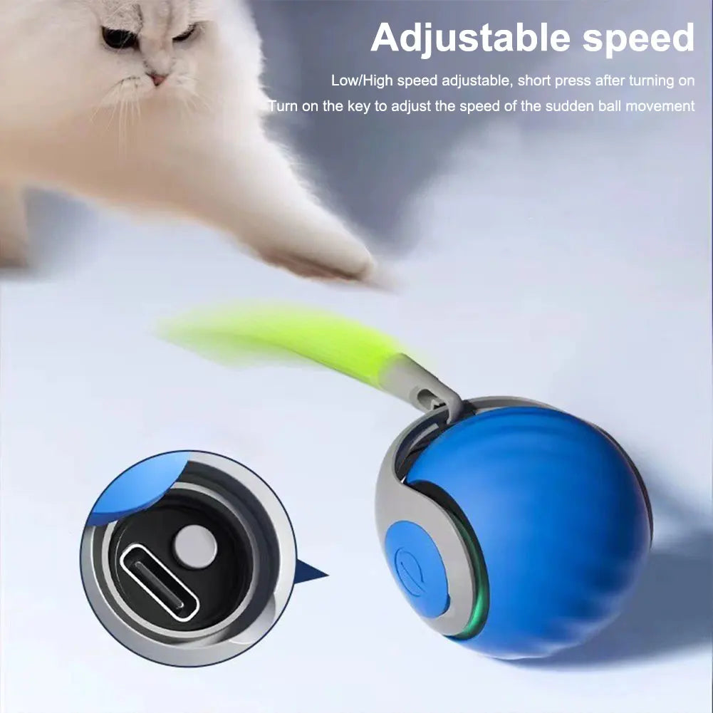 Guangdong CN Rechargeable Smart Dog Toy Ball Electronic Interactive Toy