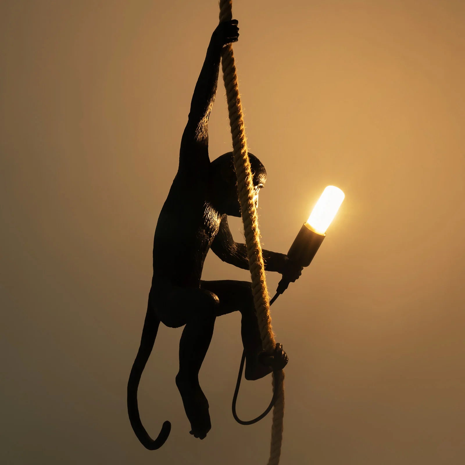 Monkey Pendant Light With Adjustable Hemp Rope And Resin Detail